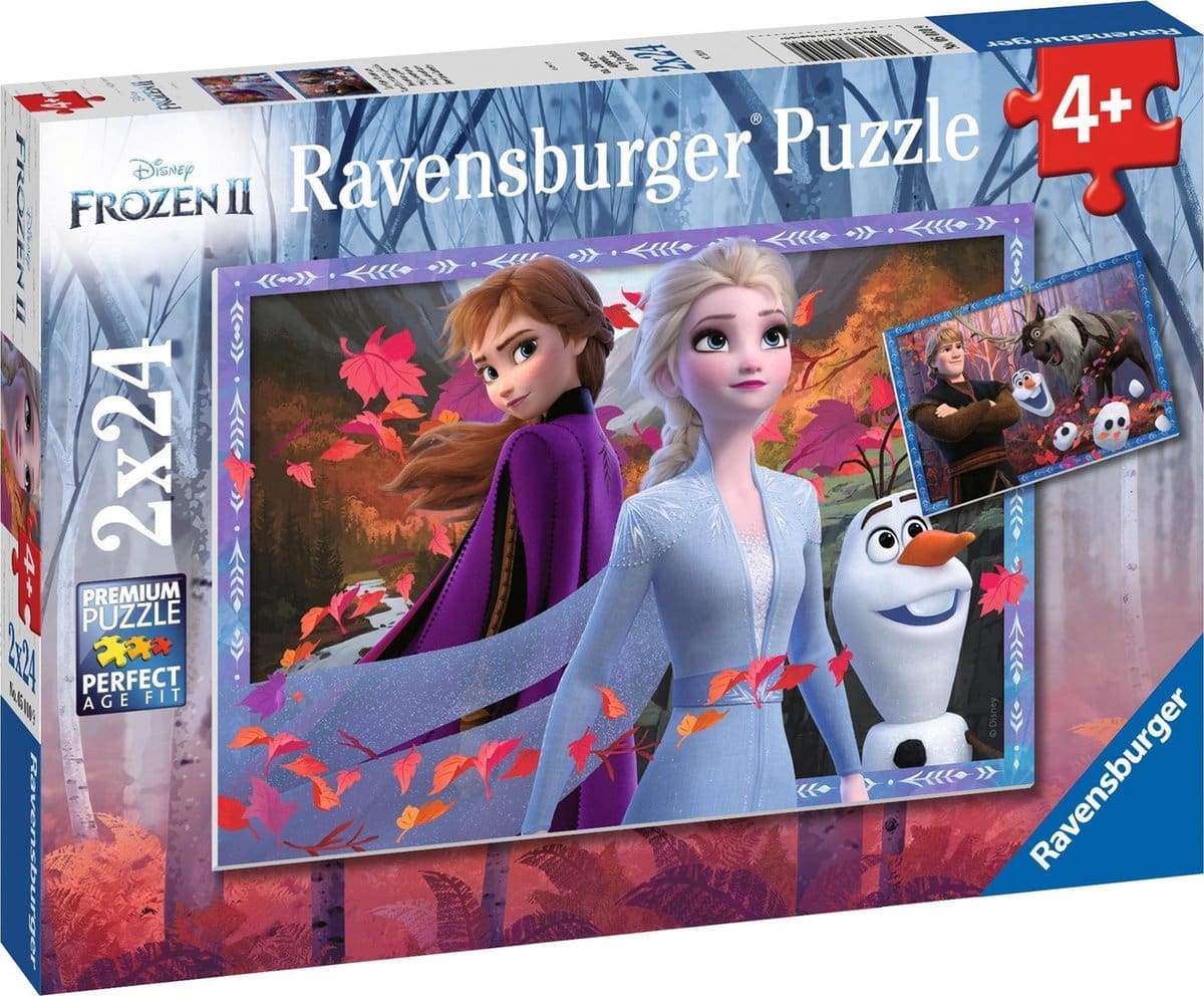 Ijzige avonturen puzzel 2x24 stuks