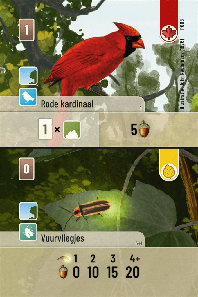 Forest Shuffle NL Exploration - Afbeelding 3